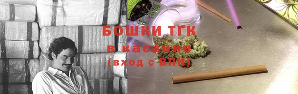 молекула духа Белоозёрский