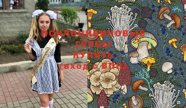 альфа пвп Беломорск