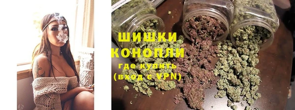 молекула духа Белоозёрский