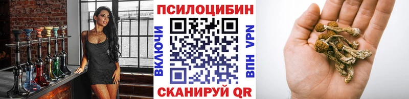 Галлюциногенные грибы Psilocybine cubensis  Ликино-Дулёво 